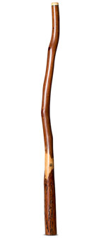 Wix Stix Didgeridoo (WS228)